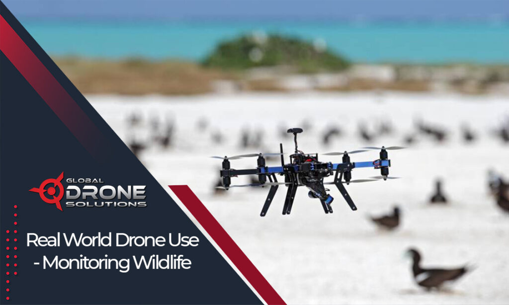 drone licence training