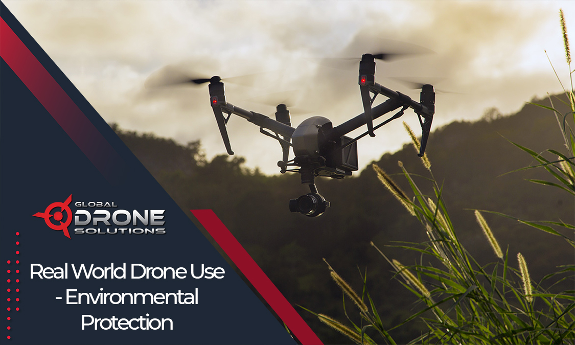 training drone licence 