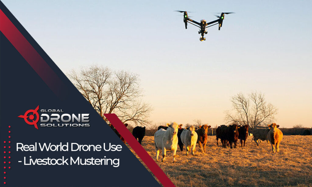 drone pilot training