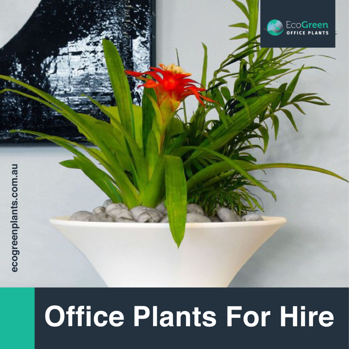 Melbourne indoor plant rental