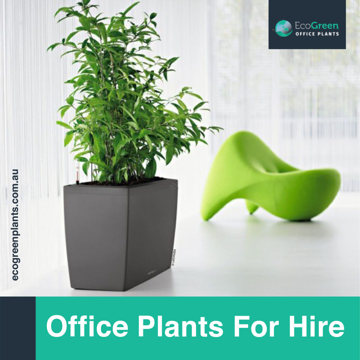 Melbourne indoor plant rental 