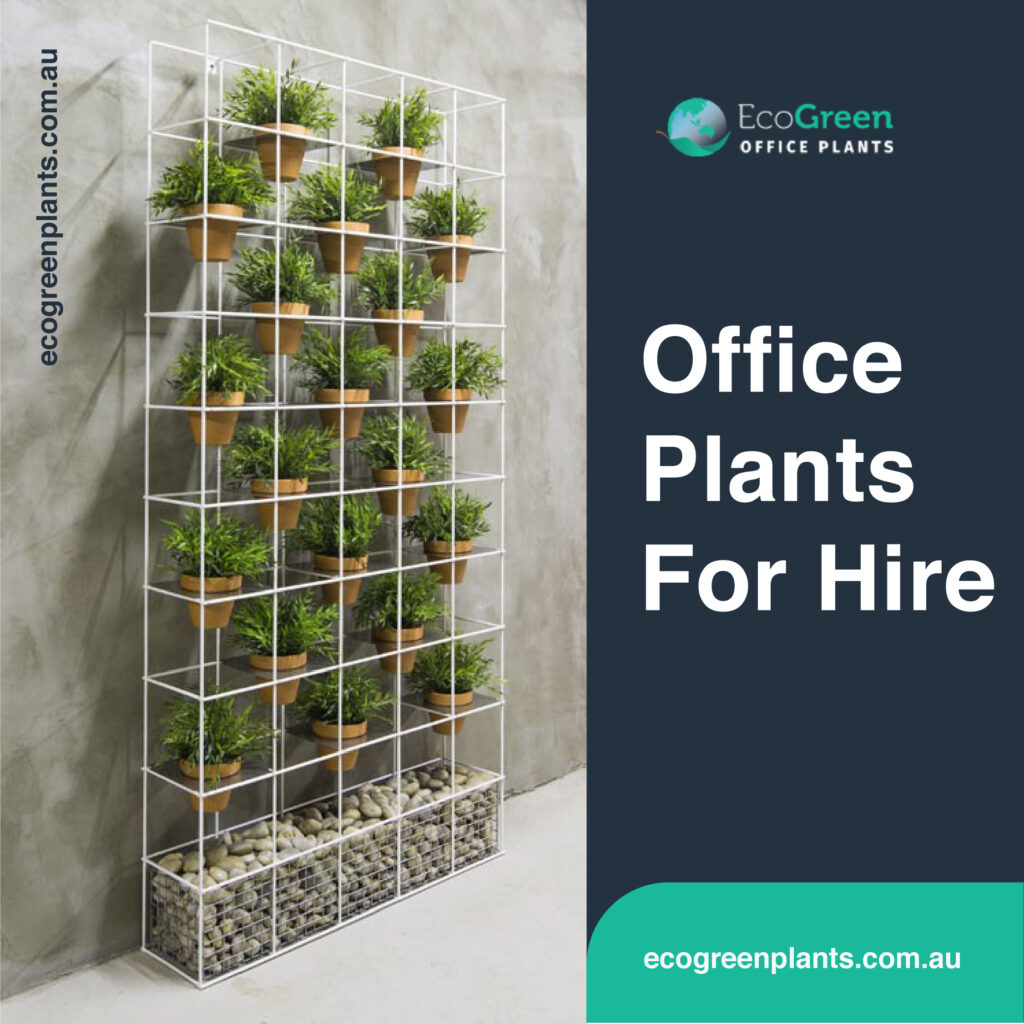  plant hire Melbourne