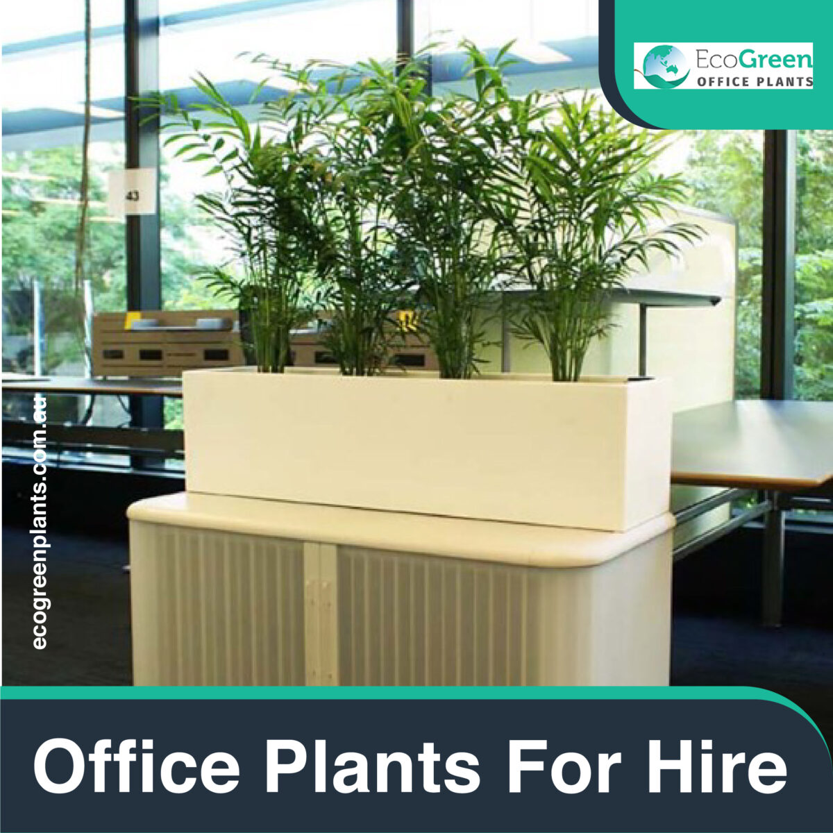plant hire Melbourne indoor 