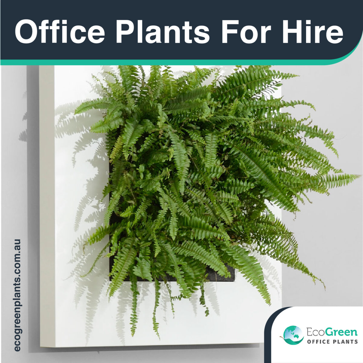 for hire in Melbourne plants 