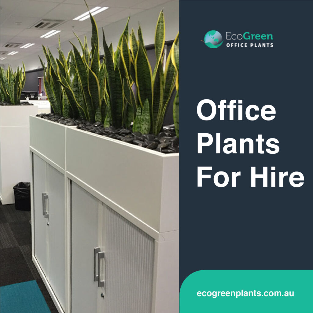 Melbourne plant hire 