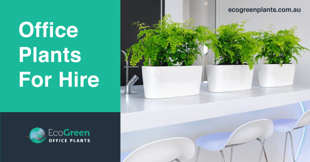 office plant hire melbourne