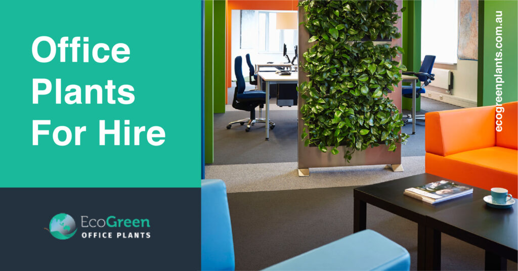 office plant hire melbourne