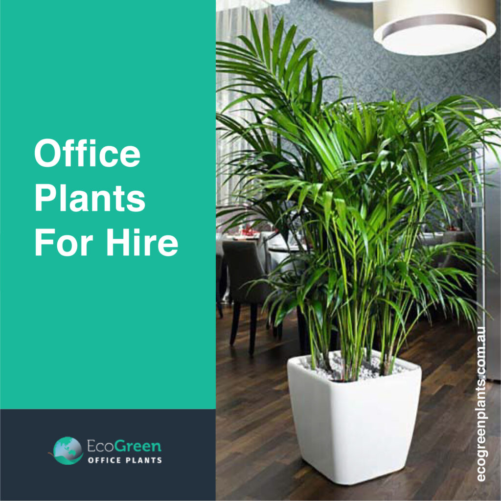 office plant hire melbourne