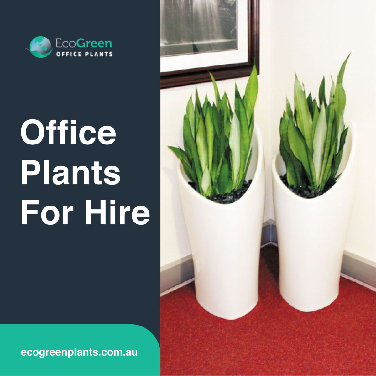 plant hire office 