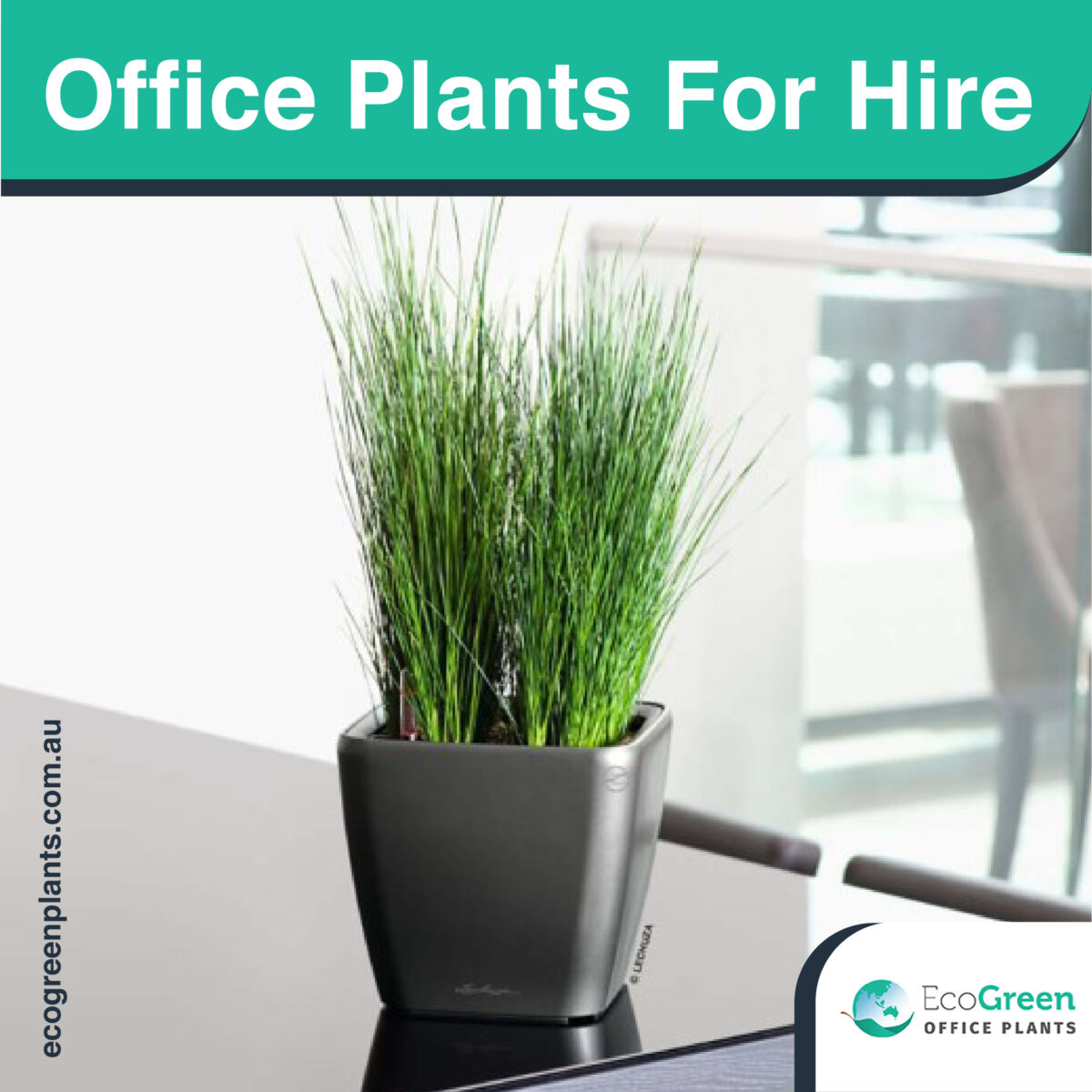 hire for events Plant 