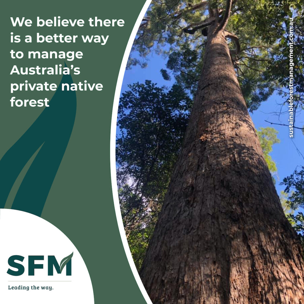 sustainable management and harvesting of forests