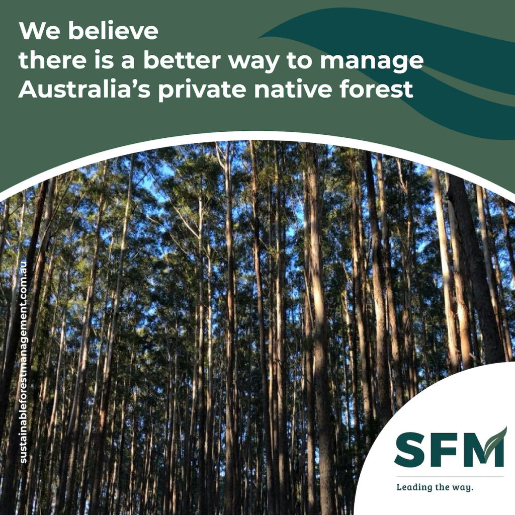 sustainable forest management approaches