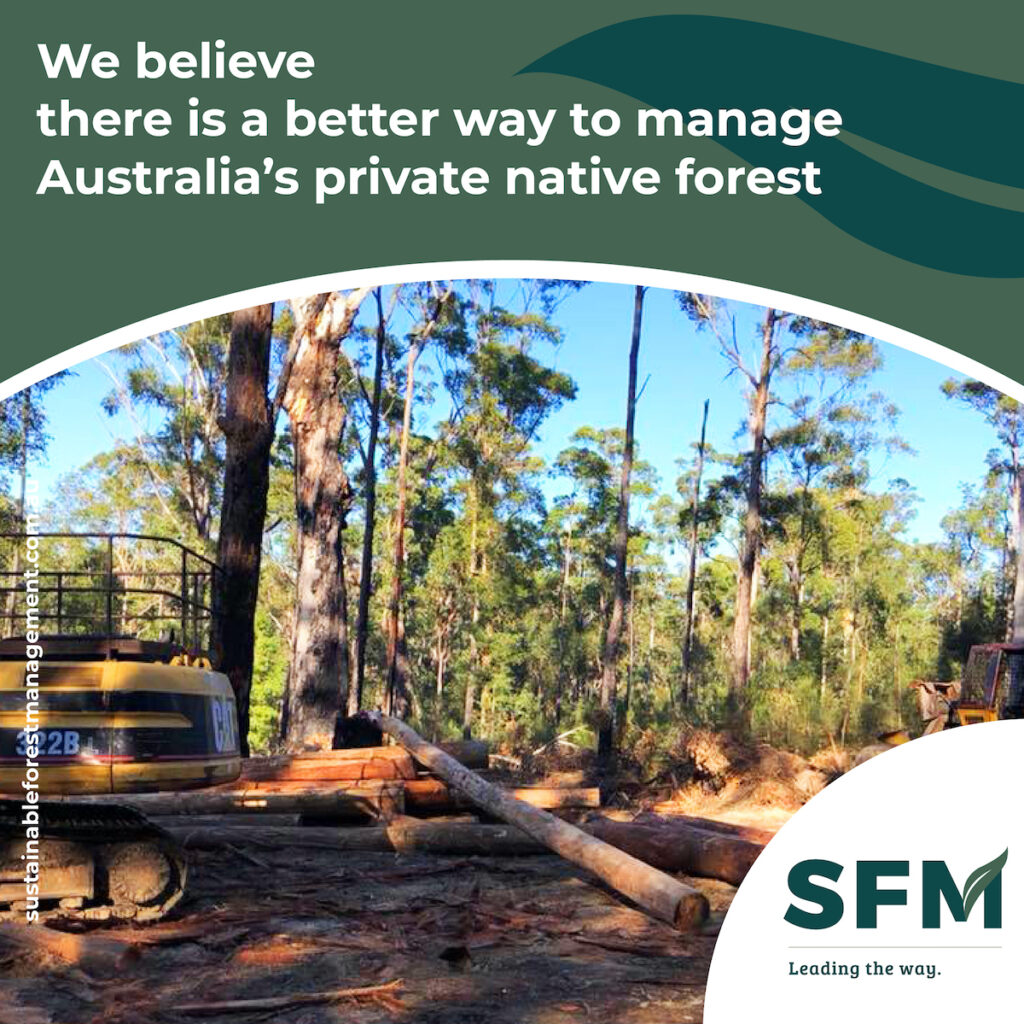 what is sustainable forest management