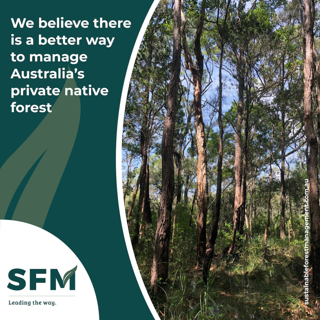 sustainable forest management plan