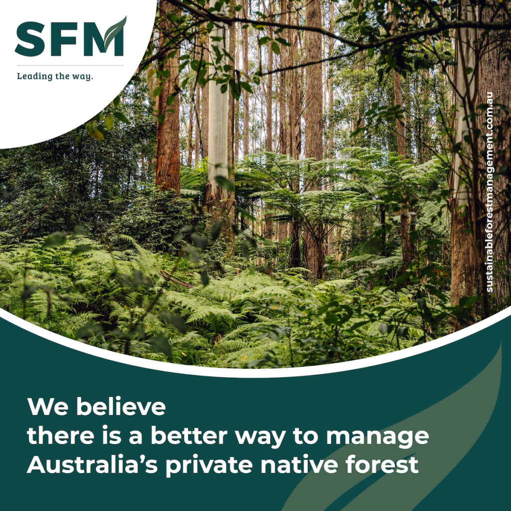 sustainable forest management australia