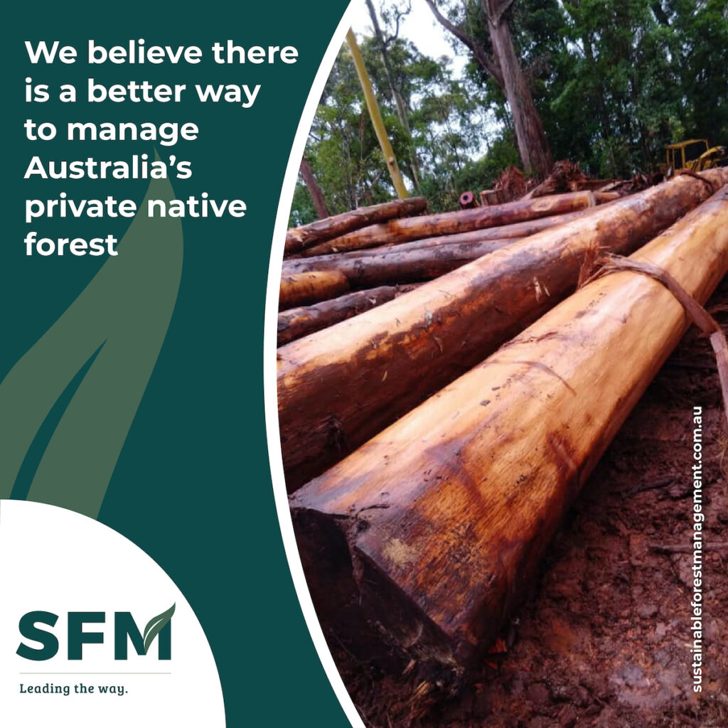 sustainable forest management